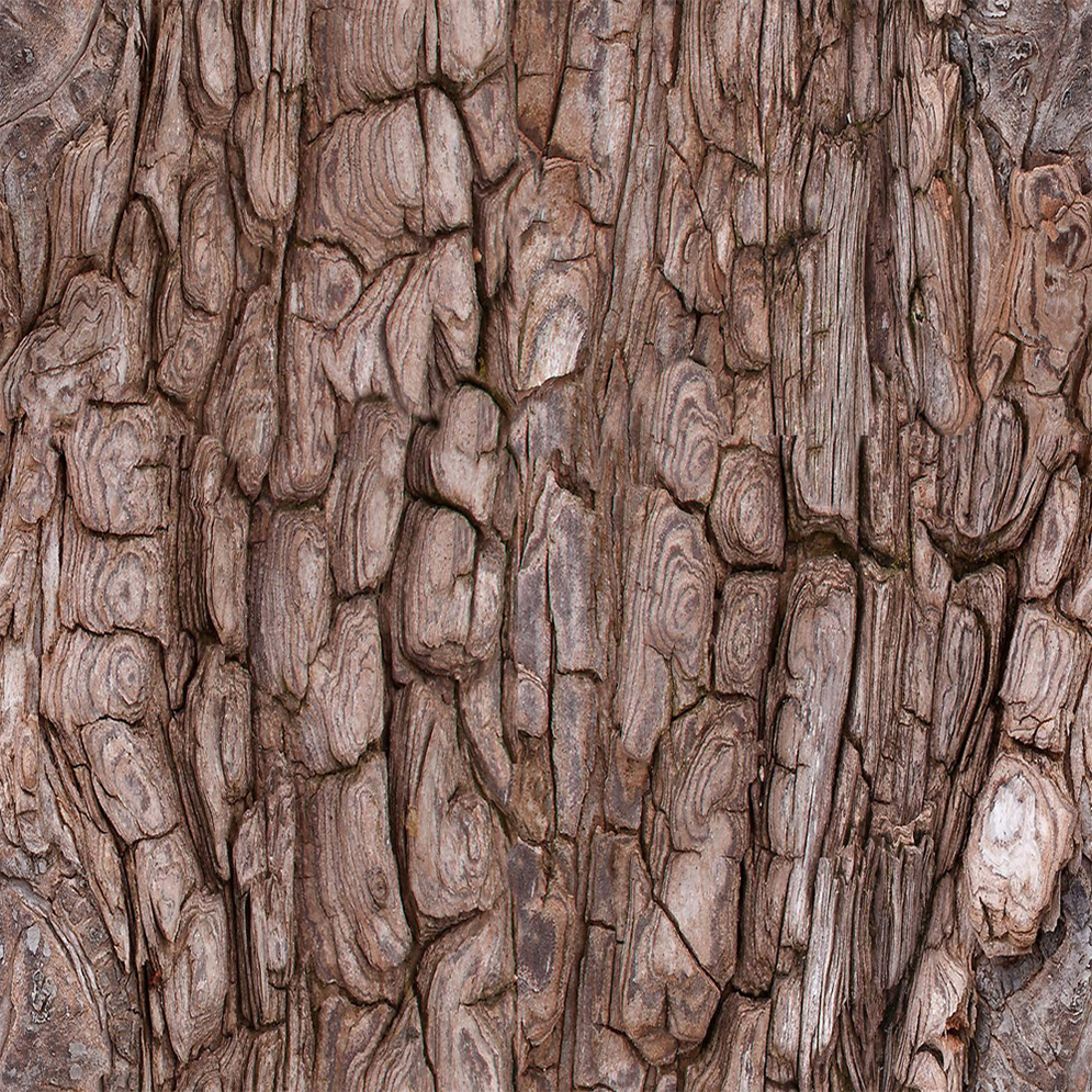 Кора дерева бесшовные текстуры и фоны коры дерева скачать