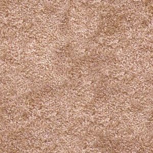 carpeting-texture (25)