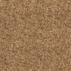 carpeting-texture (37)