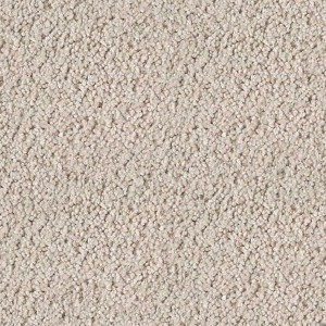 carpeting-texture (44)