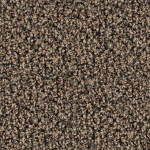 carpeting-texture (47)