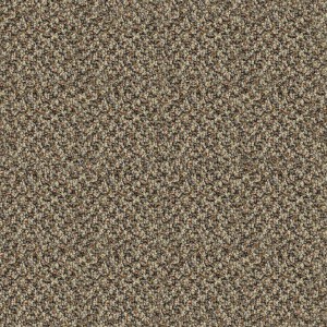 carpeting-texture (51)