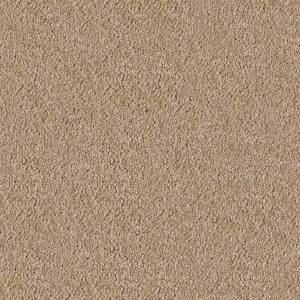 carpeting-texture (54)