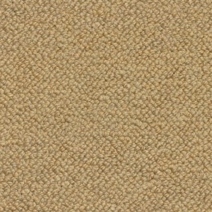 carpeting-texture (60)