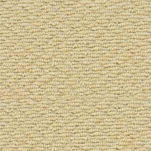 carpeting-texture (63)