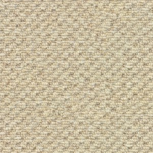 carpeting-texture (64)