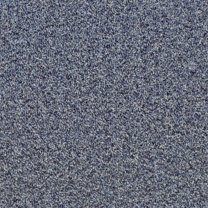carpeting-texture (74)