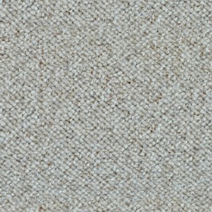 carpeting-texture (75)
