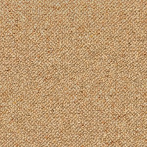 carpeting-texture (84)
