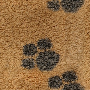 carpeting-texture (91)
