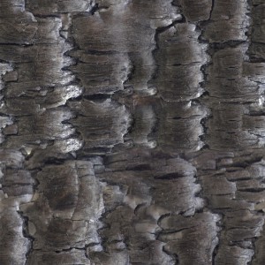 coal-texture (14)