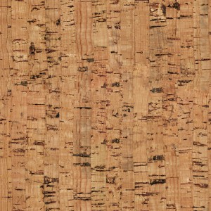 cork-texture (54)