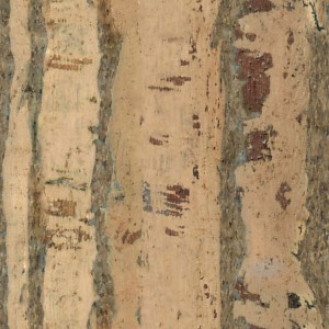 cork-texture (60)