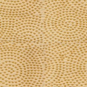 fabric-texture (88)