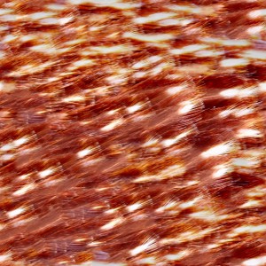feather-texture (12)