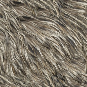 feather-texture (17)