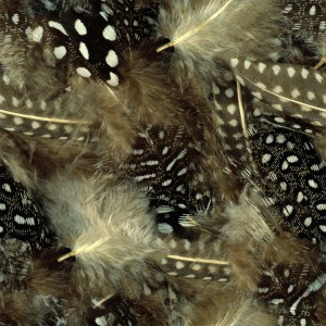 feather-texture (21)