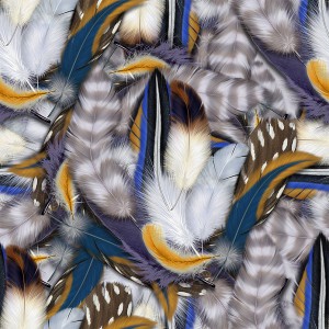 feather-texture (25)
