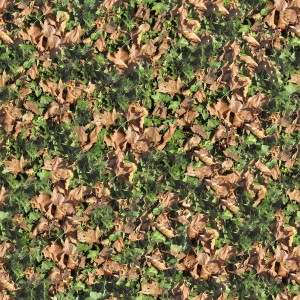 foliage-texture (112)