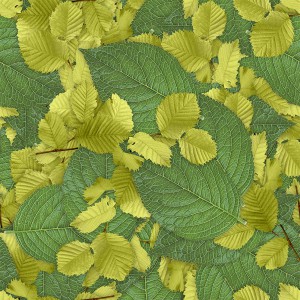 foliage-texture (65)