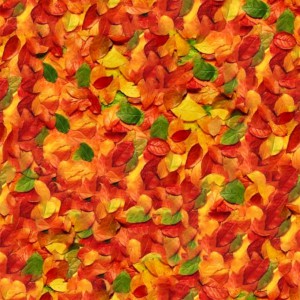 foliage-texture (72)