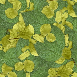 foliage-texture (73)
