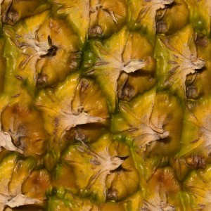 fruitpeel-texture (12)