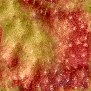 fruitpeel-texture (14)