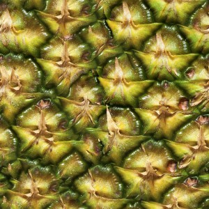 fruitpeel-texture (27)