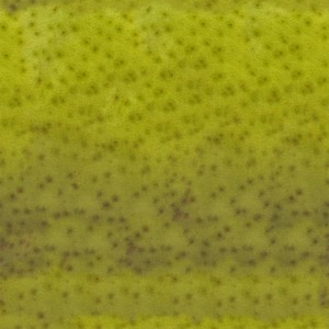 fruitpeel-texture (30)