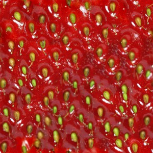 fruitpeel-texture (31)
