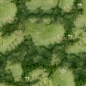 fruitpeel-texture (37)