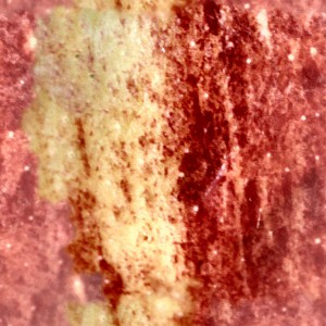 fruitpeel-texture (39)