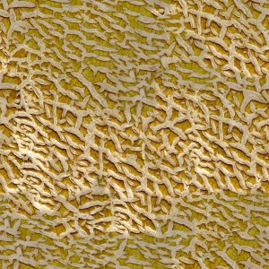 fruitpeel-texture (47)