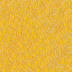 fruitpeel-texture (48)