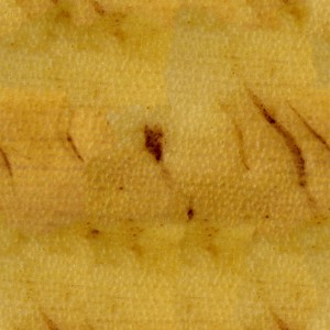 fruitpeel-texture (58)