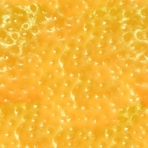 fruitpeel-texture (59)