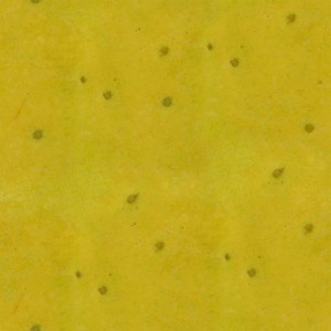 fruitpeel-texture (60)