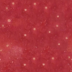 fruitpeel-texture (63)