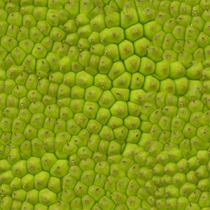 fruitpeel-texture (65)