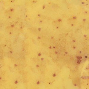 fruitpeel-texture (73)