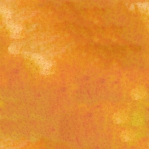 fruitpeel-texture (74)