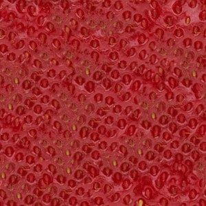 fruitpeel-texture (84)
