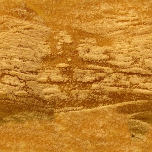 fruitpeel-texture (87)