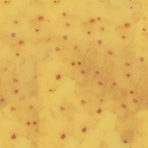 fruitpeel-texture (90)
