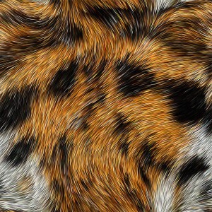 fur-texture (2)