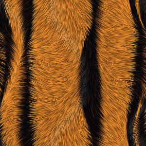 fur-texture (3)
