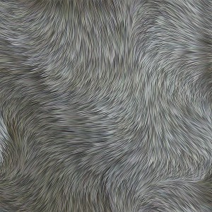 fur-texture (35)