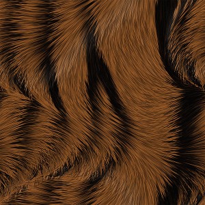 fur-texture (5)
