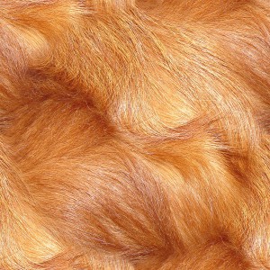 fur-texture (74)